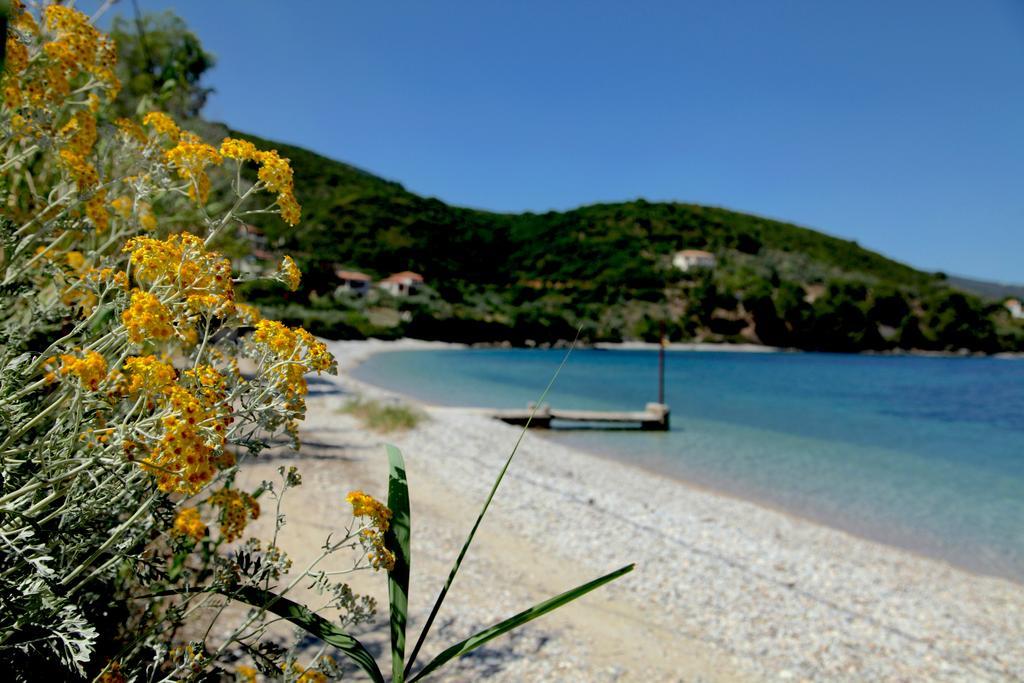 Casa Kalypso Suites & Villa Sztení Vála Aloníszu Kültér fotó